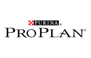 Pro Plan