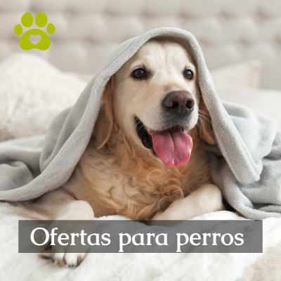 Ofertas para perros